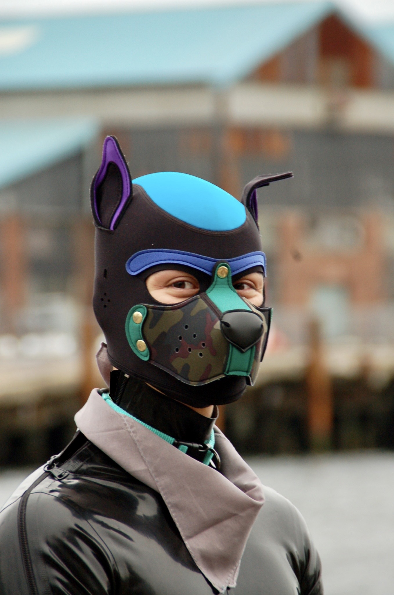 Pup Play: Finding freedom in a dog mask